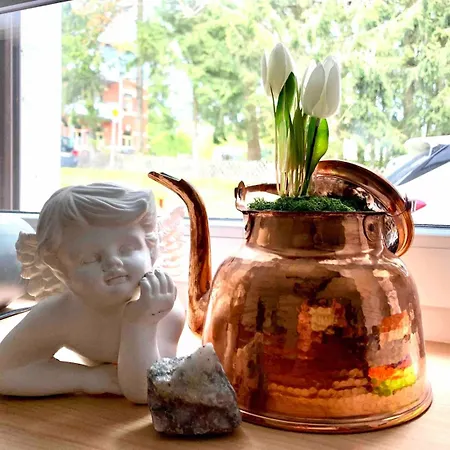 Apartment Im Style Mit Kamin Und Waermekabine *