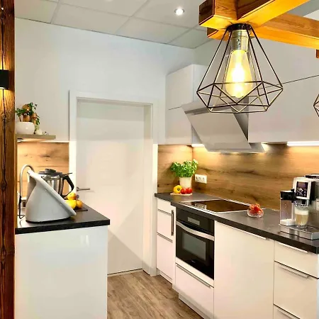 Apartment Im Style Mit Kamin Und Waermekabine Geyer