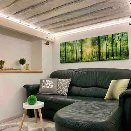 Apartment Im Style Mit Kamin Und Waermekabine *