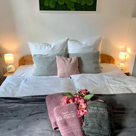 Im Style Mit Kamin Appartamento