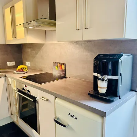 Im Style Mit Kamin Appartamento Geyer