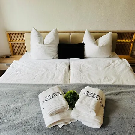 Daire Im Style Mit Kamin Geyer